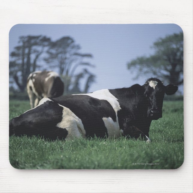 cows in a pasture mouse pad (Front)