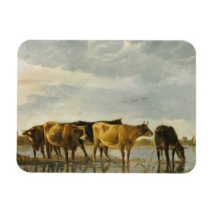 Cows in a River Aelbert Cuyp Magnet