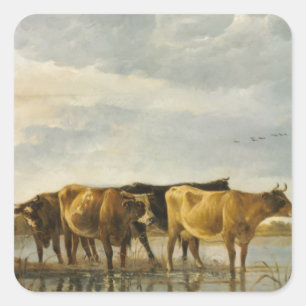 Cows in a River Aelbert Cuyp    Square Sticker