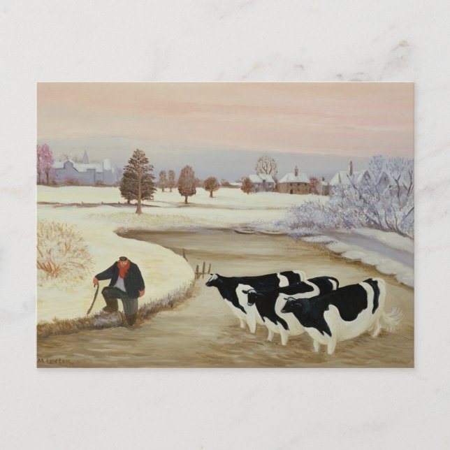 Cows in a Winter River Postcard (Front)