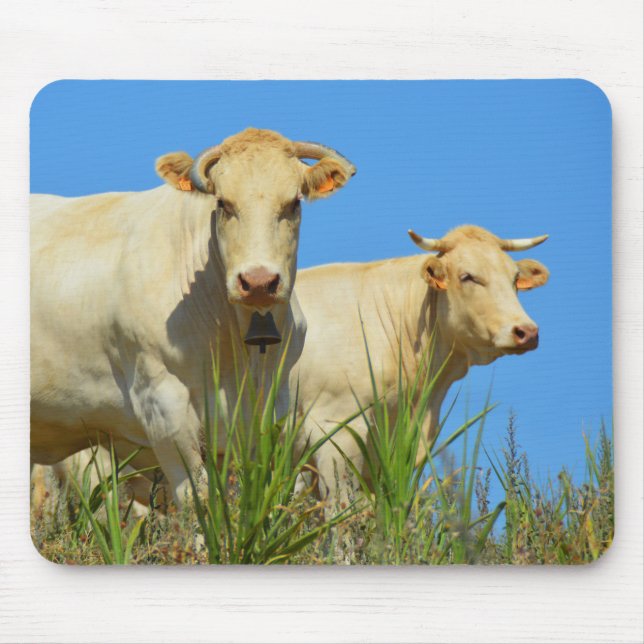 Cows in France animal Mouse Pad (Front)