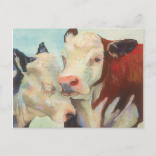 Cows In Love Postcard