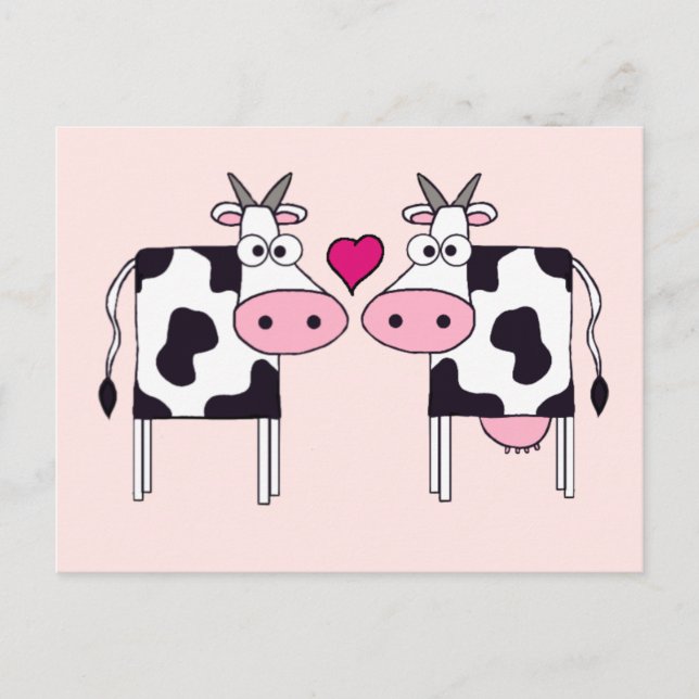 Cows in Love Postcard (Front)