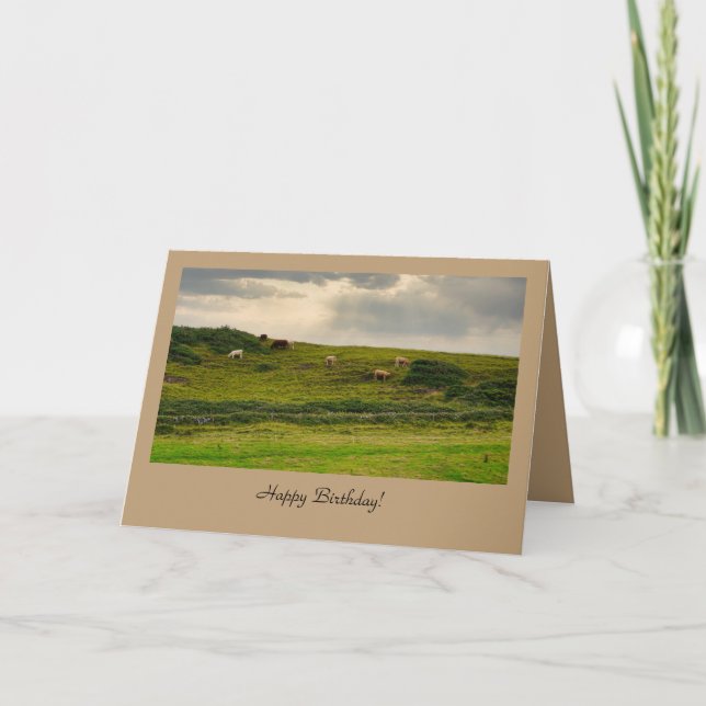 Cows in Pasture Birthday Greeting Card  (Front)