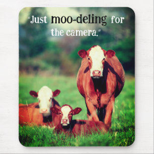 Cows in Pasture Mouse Pad