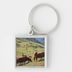 cows in Tarentaise Valley - Tarine race Keychain