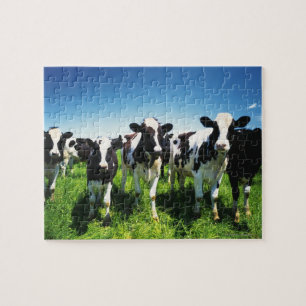 Cows in the field, Betsukai town, Hokkaido Jigsaw Puzzle
