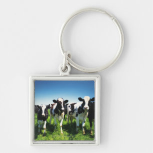 Cows in the field, Betsukai town, Hokkaido Keychain