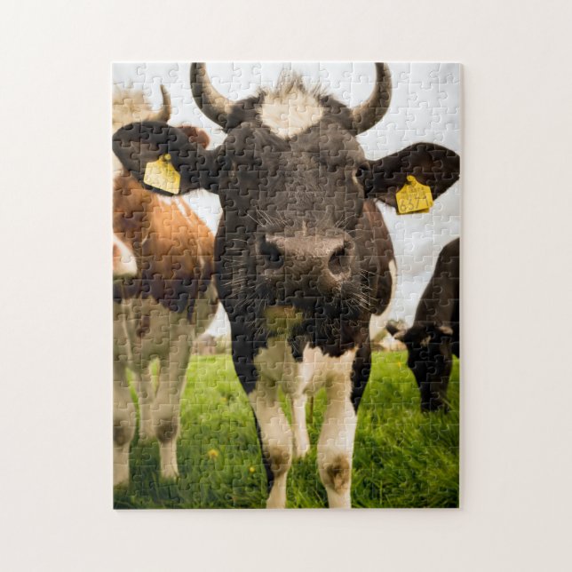 Cows in the Field Jigsaw Puzzle (Vertical)
