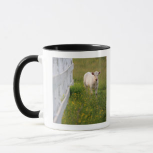 Cows in the field mug