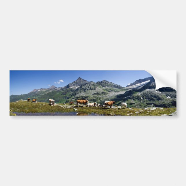Cows In The Mountains Bumper Sticker (Front)