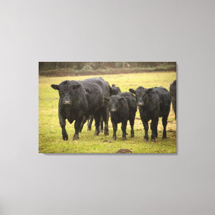 Cows in the rain canvas print