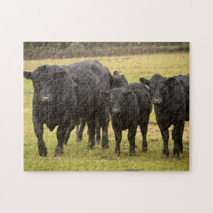 Cows in the rain jigsaw puzzle