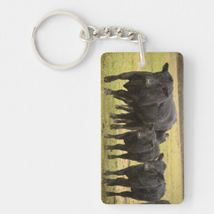 Cows in the rain keychain