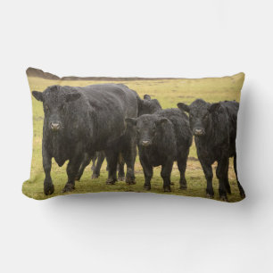 Cows in the rain lumbar pillow