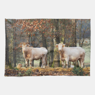 Cows in woodland kitchen towel