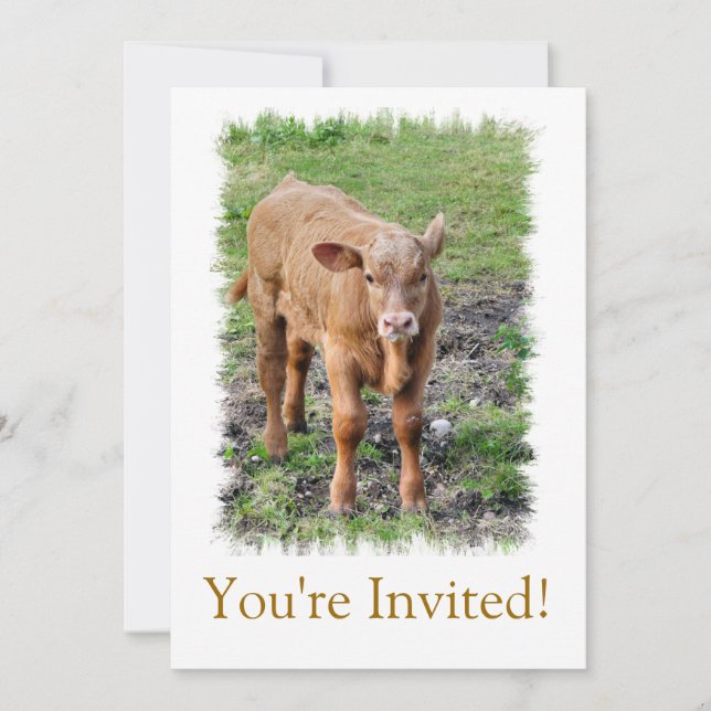 COWS INVITATION (Front)
