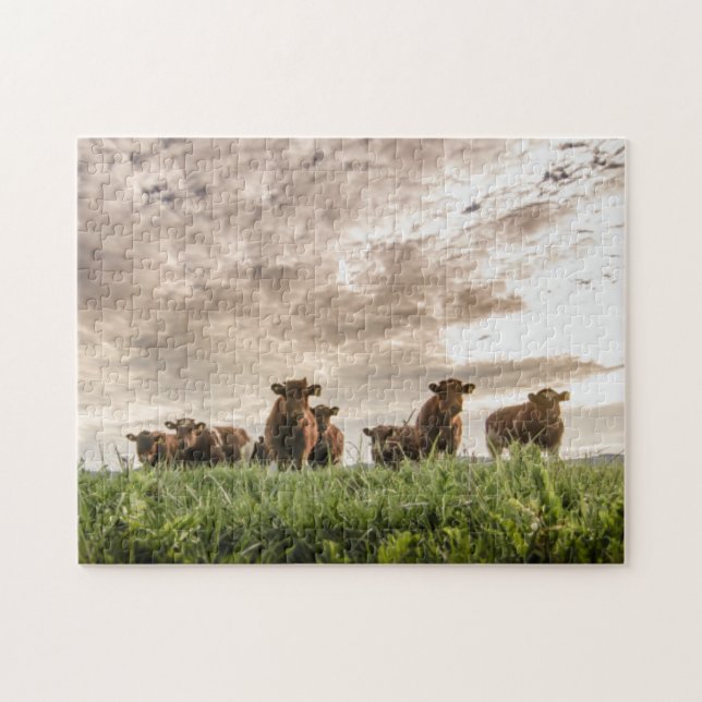 Cows Jigsaw Puzzle (Horizontal)