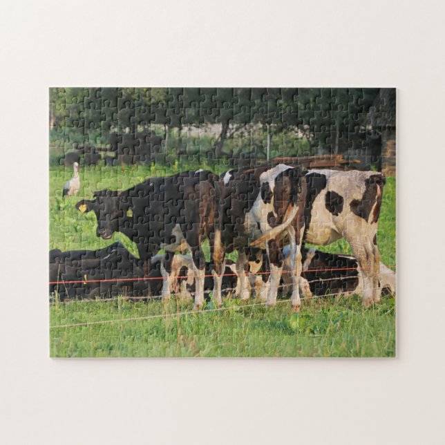 Cows Jigsaw Puzzle (Horizontal)
