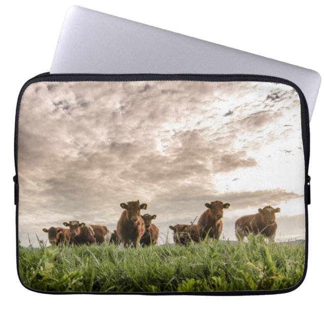 Cows Laptop Sleeve (Front)