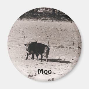 cows magnet