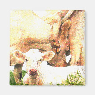 cows magnet