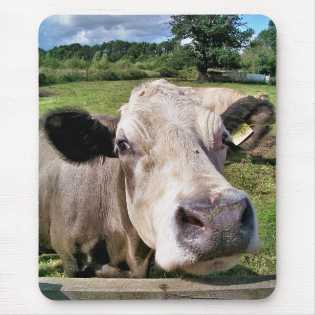COWS MOUSE PAD (Front)
