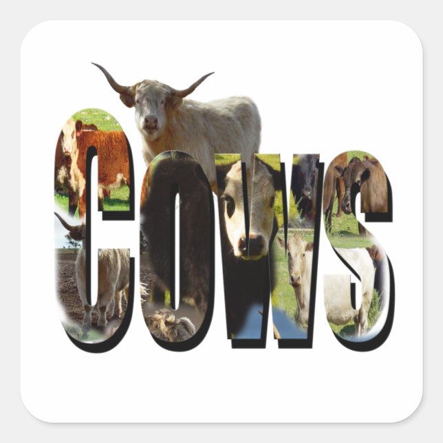 Cows Name Logo, Square Sticker (Front)