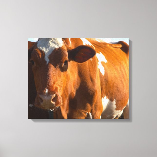 Cows on farm 2 canvas print (Front)