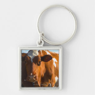 Cows on farm keychain