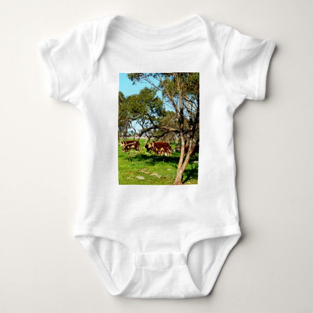 Cows On The Range, Baby Bodysuit (Front)