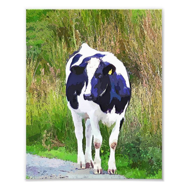 COWS PHOTO PRINT (Front)