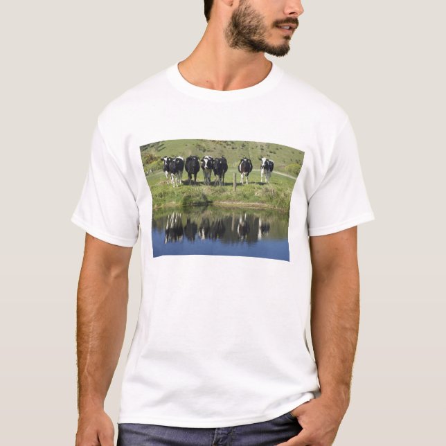 Cows reflected in canal, Henley, Taieri Plain, T-Shirt (Front)
