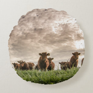 Cows Round Pillow