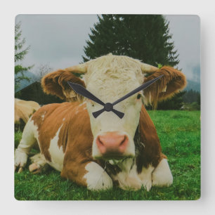 Cows Square Wall Clock