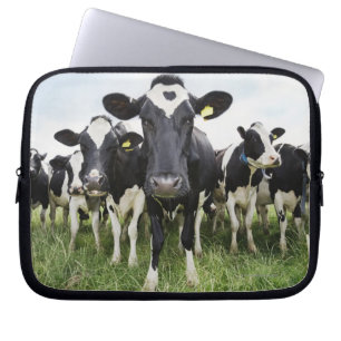 Cows standing in a row looking at camera laptop sleeve