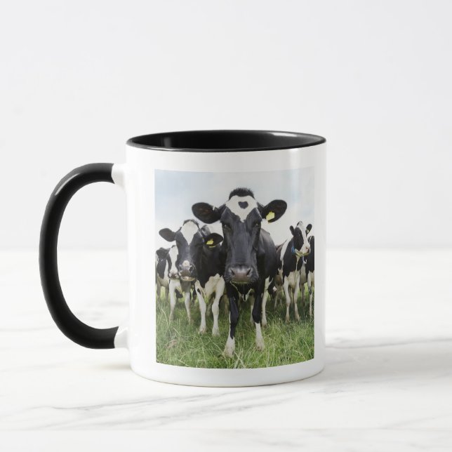 Cows standing in a row looking at camera mug (Left)