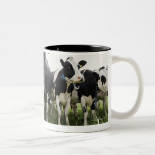 Cows standing in a row looking at camera Two-Tone coffee mug