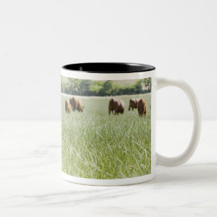 Cows standing in meadow Two-Tone coffee mug