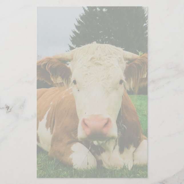Cows Stationery (Front)