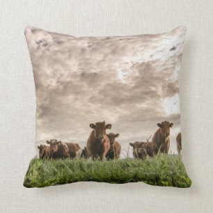 Cows Throw Pillow