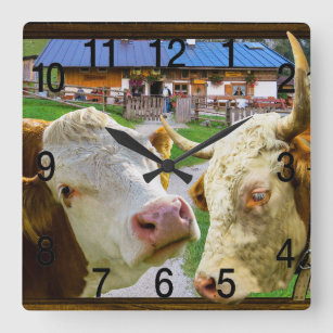 Cows too funny in love square wall clock