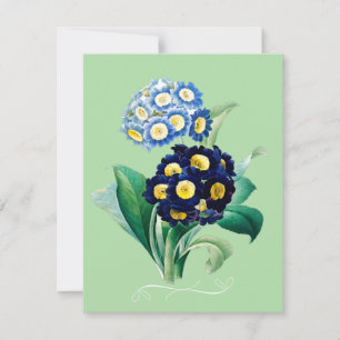 Cowslip Primrose Botanical Holiday Card