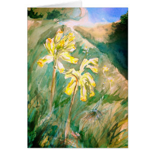 Cowslips Primula veris sur une carte bancaire herb