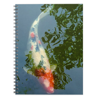 coy fish notebook