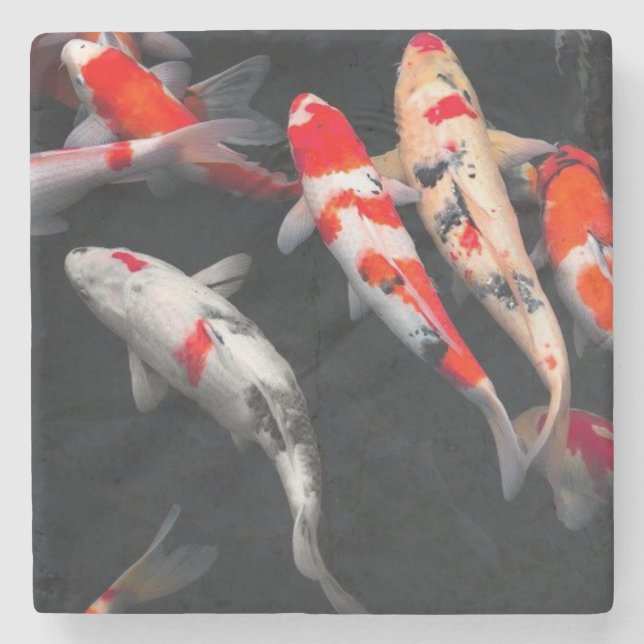 Coy Fish Stone Coaster (Front)