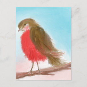 Coy Robin Postcard