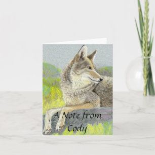 Coyote