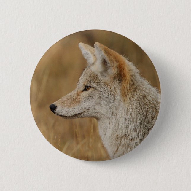 coyote 2 inch round button (Front)