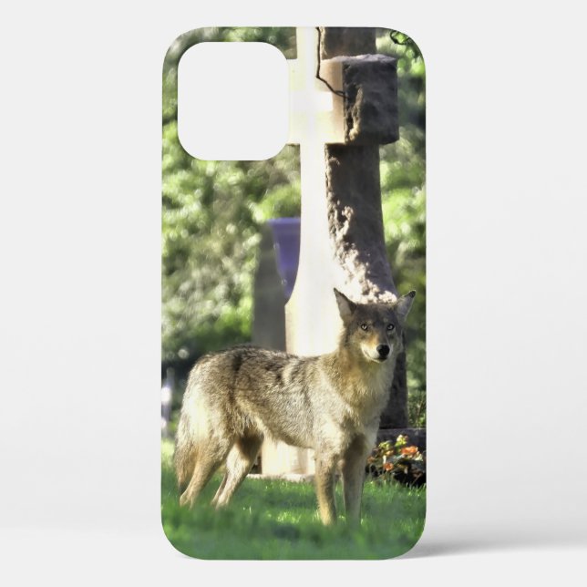 Coyote at the cemetery Case-Mate iPhone case (Back)